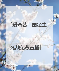 爱奇艺：国足生死战免费直播