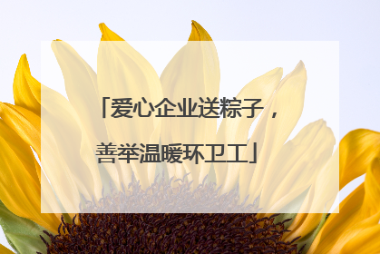 爱心企业送粽子，善举温暖环卫工