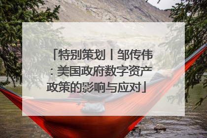特别策划丨邹传伟：美国政府数字资产政策的影响与应对