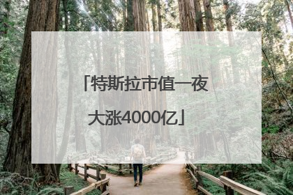 特斯拉市值一夜大涨4000亿