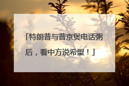 特朗普与普京煲电话粥后，看中方说希望！