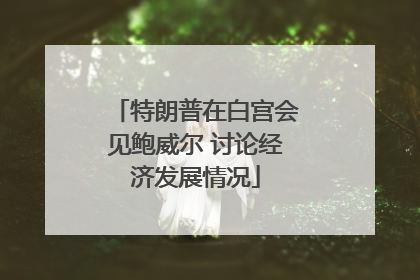 特朗普在白宫会见鲍威尔 讨论经济发展情况