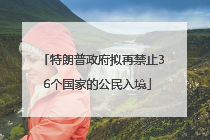特朗普政府拟再禁止36个国家的公民入境