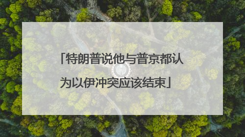 特朗普说他与普京都认为以伊冲突应该结束