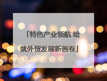 特色产业领航 绘就外贸发展新画卷