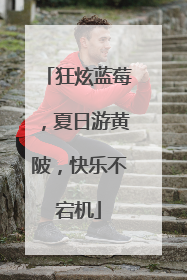 狂炫蓝莓，夏日游黄陂，快乐不宕机