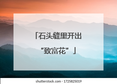 石头缝里开出“致富花”