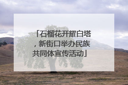 石榴花开耀白塔，新街口举办民族共同体宣传活动
