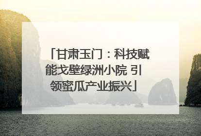 甘肃玉门：科技赋能戈壁绿洲小院 引领蜜瓜产业振兴