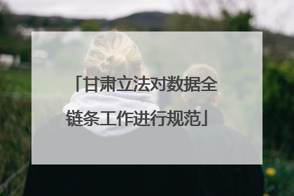 甘肃立法对数据全链条工作进行规范
