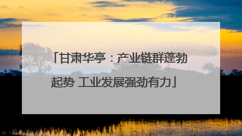 甘肃华亭：产业链群蓬勃起势 工业发展强劲有力