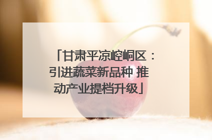甘肃平凉崆峒区：引进蔬菜新品种 推动产业提档升级