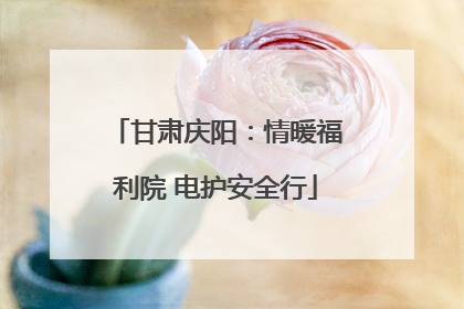 甘肃庆阳：情暖福利院 电护安全行