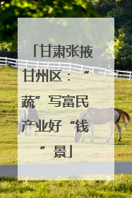 甘肃张掖甘州区：“蔬”写富民产业好“钱”景