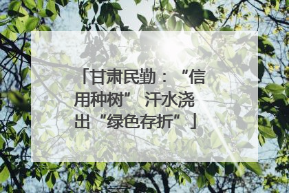 甘肃民勤：“信用种树” 汗水浇出“绿色存折”