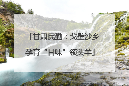甘肃民勤：戈壁沙乡孕育“甘味”领头羊