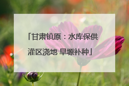 甘肃镇原：水库保供 灌区浇地 旱塬补种