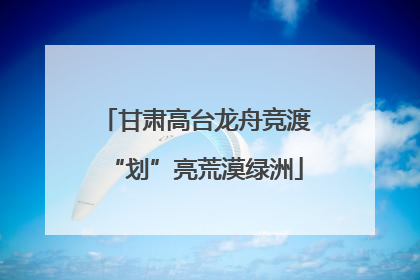 甘肃高台龙舟竞渡“划”亮荒漠绿洲
