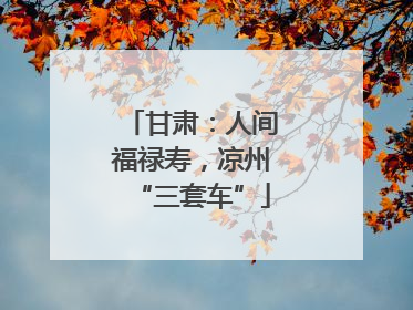 甘肃：人间福禄寿，凉州“三套车”