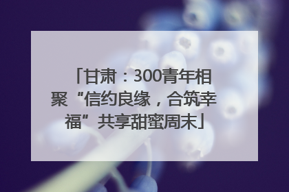 甘肃：300青年相聚“信约良缘，合筑幸福”共享甜蜜周末