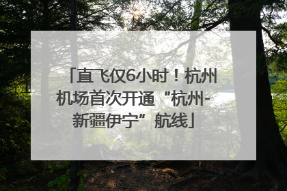 直飞仅6小时！杭州机场首次开通“杭州-新疆伊宁”航线