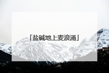盐碱地上麦浪涌