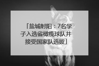 盐城射阳：7名学子入选省橄榄球队并接受国家队选拔