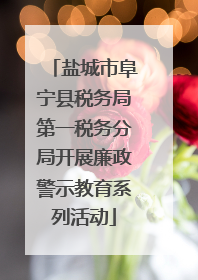 盐城市阜宁县税务局第一税务分局开展廉政警示教育系列活动