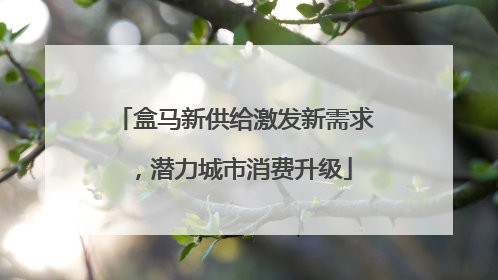 盒马新供给激发新需求，潜力城市消费升级