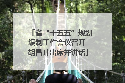 省“十五五”规划编制工作会议召开 胡昌升出席并讲话
