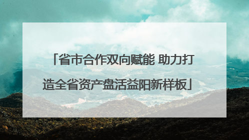 省市合作双向赋能 助力打造全省资产盘活益阳新样板