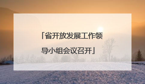 省开放发展工作领导小组会议召开