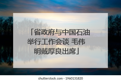 省政府与中国石油举行工作会谈 毛伟明戴厚良出席