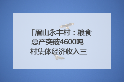 眉山永丰村：粮食总产突破4600吨 村集体经济收入三年倍增｜牵挂的村