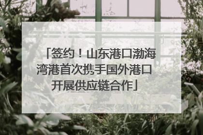 签约！山东港口渤海湾港首次携手国外港口开展供应链合作