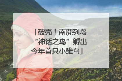 破壳！南麂列岛“神话之鸟”孵出今年首只小雏鸟