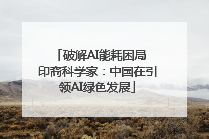 破解AI能耗困局 印裔科学家：中国在引领AI绿色发展