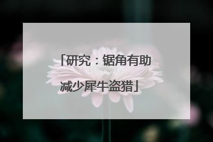 研究：锯角有助减少犀牛盗猎