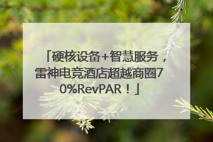 硬核设备+智慧服务，雷神电竞酒店超越商圈70%RevPAR！