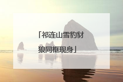 祁连山雪豹豺狼同框现身