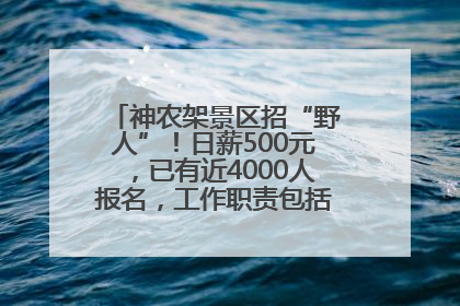 神农架景区招“野人”！日薪500元，已有近4000人报名，工作职责包括“接受游客投喂”