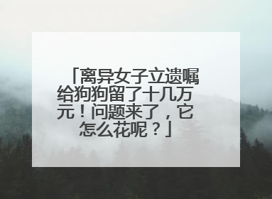 离异女子立遗嘱给狗狗留了十几万元！问题来了，它怎么花呢？