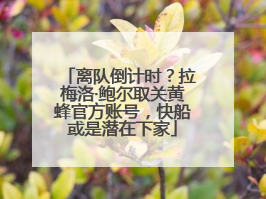 离队倒计时？拉梅洛·鲍尔取关黄蜂官方账号，快船或是潜在下家