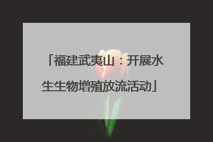 福建武夷山：开展水生生物增殖放流活动