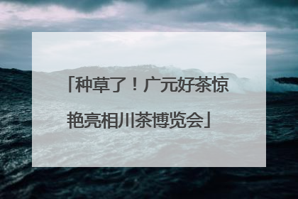 种草了！广元好茶惊艳亮相川茶博览会
