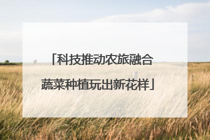 科技推动农旅融合 蔬菜种植玩出新花样
