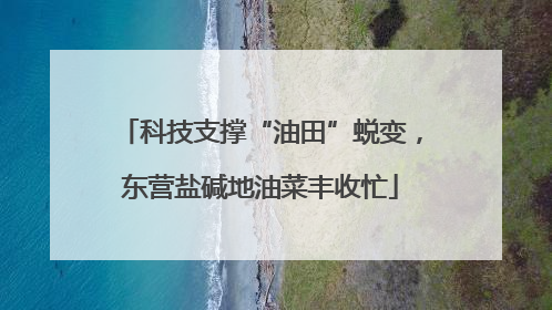 科技支撑“油田”蜕变，东营盐碱地油菜丰收忙