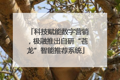 科技赋能数字营销，极融推出自研“苍龙”智能推荐系统