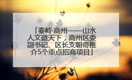 秦岭·商州——山水人文邀天下，商州区委副书记、区长支朝奇推介5个重点招商项目