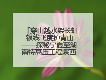 穿山越水架长虹 银线飞度护青山——探秘宁夏至湖南特高压工程陕西段建设现场